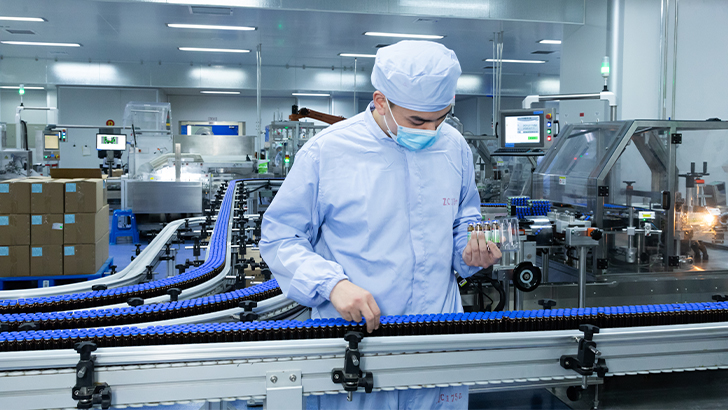 Cultura da Qualidade