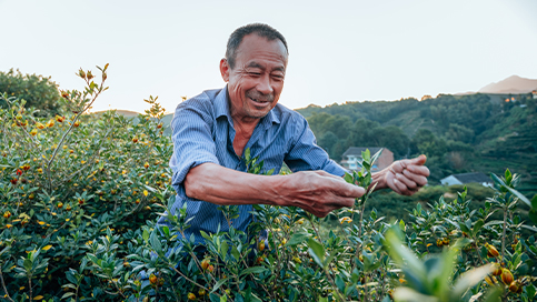 A Indústria Impulsiona a Revitalização Rural
